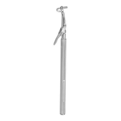 Amalgam Carrier (Single End)