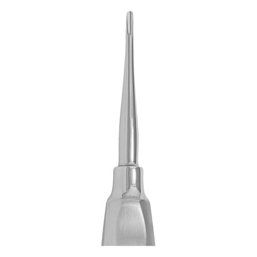 Apical (301)