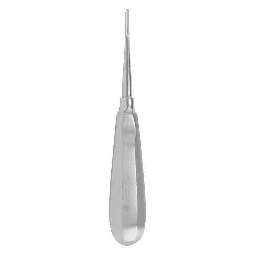 Bein (2mm)