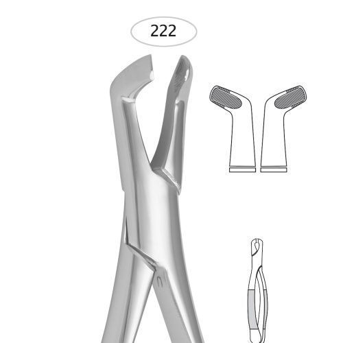 Lower Third Molars