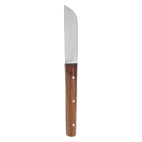Small Fahnenstock with Life and Spatula