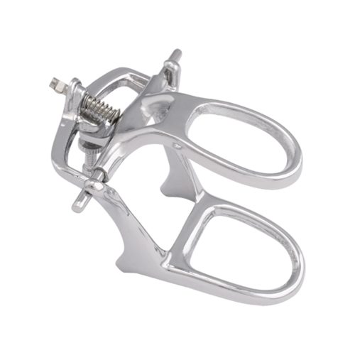 Articulator